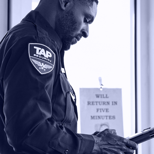 Professional Security